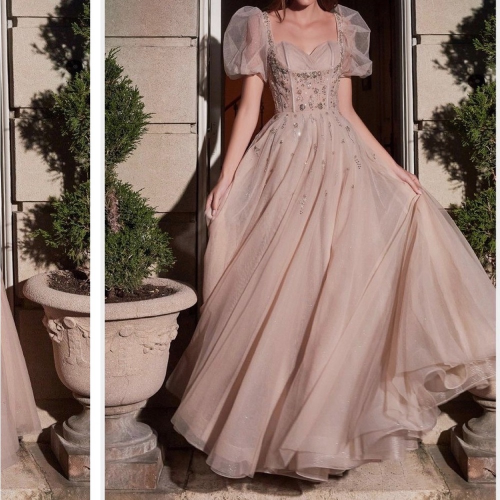 Cinderella Divine B711 - 8 / Rose
champagne
Sophia's Boutique